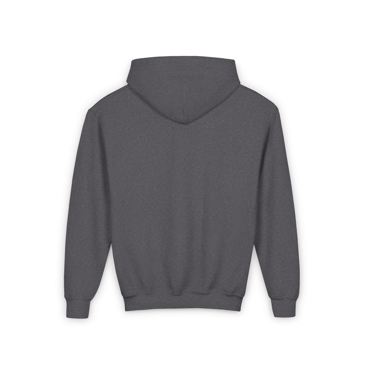 Northstars Youth Hoodie